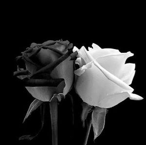 Meet your Posher, Jondalyn